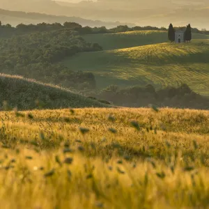 Tuscan fields in summer season