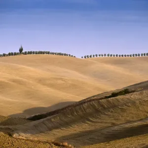 Tuscan landscape near Pienza, Tuscany, Italy, Europe Tuscan landscape near Pienza, Tuscany, Italy, Europe