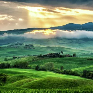 Tuscan Sunburst Tuscan Sunburst