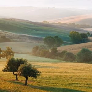 Typical Tuscan landscape near San Quirico dOrcia, Val dOrcia region, early morning mist, Tuscany, Italy, Europe