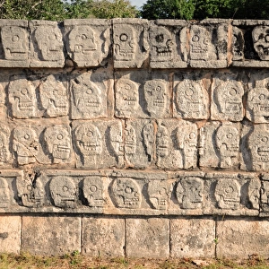 Tzompantli Skull Carvings, Chichen Itza