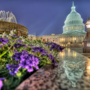 U.S. Capitol Building Nighttime Print U.S. Capitol Building Nighttime Print