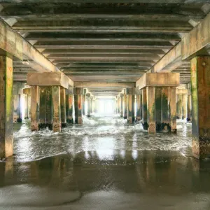 Underneath a Dock Print Underneath a Dock Print