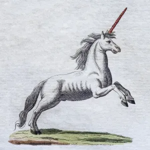 Unicorn Hand-Colored Copper Engraving Print