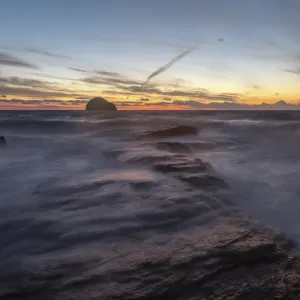 Untamed Seas Untamed Seas