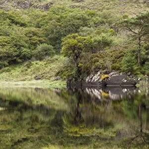 Upper Lake, Killarney National Park, Killarney, County Kerry, Ireland