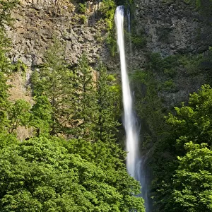 The Upper Multnomah Waterfall