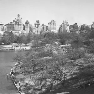USA, New York City, Central Park (B&W) USA, New York City, Central Park (B&W)