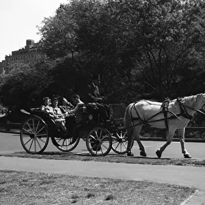 USA, New York State, new York, Central Park, people in cart
