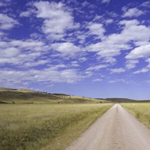 USA, South Dakota, Wind Cave National Park, dirt road across grassland