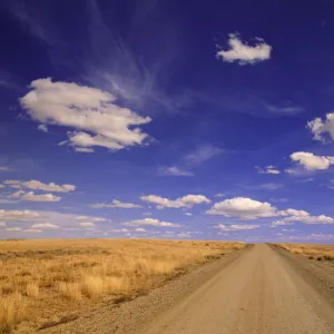 Images Dated 2006 February: 1 Feb 2006