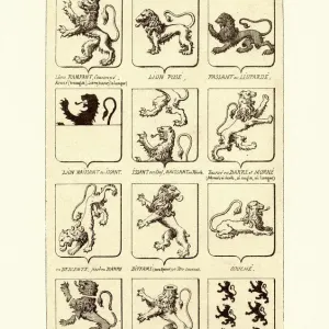 Vintage Lion Heraldry Print Vintage Lion Heraldry Print