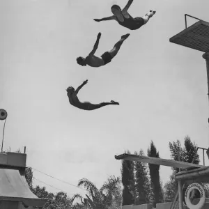 Using The Diving Board