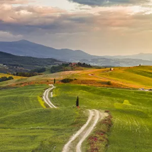 Val d Orcia (Orcia Valley), Tuscany, Italy