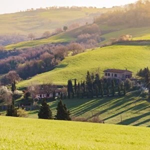 Valdorcia, Siena, Tuscany, Italy