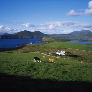 Valentia Island, Ring of Kerry, Co Kerry, Ireland