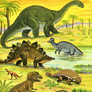 Variety of Dinosaurs