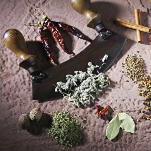 Various spices with a mincing knife on a sandstone base
