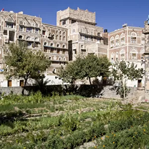 Vegetable garden in old town of Sanaa