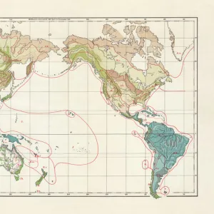 Vegetation zones of the world, lithograph, published in 1897