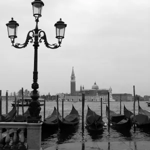 Venice Venice