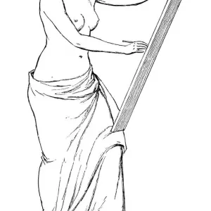 The Venus The Venus