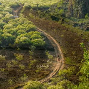 Vertical image of Moc Chau Plateau - Vietnam - Travel Destination Vertical image of Moc Chau Plateau - Vietnam - Travel Destination