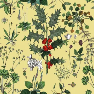 Victorian Botanical, Hand-Colored, Seamless Repeating pattern. Realistic blooming isolated flowers, Vintage fabric background. Beautiful Cottage Garden and wildflowers. Wallpaper baroque. Drawing engraving. Victorian Illustration Victorian Botanical, Hand-Colored, Seamless Repeating pattern. Realistic blooming isolated flowers, Vintage fabric background. Beautiful Cottage Garden and wildflowers. Wallpaper baroque. Drawing engraving. Victorian Illustration