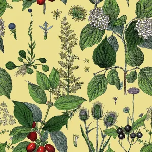 Victorian Botanical, Hand-Colored, Seamless Repeating pattern. Realistic blooming isolated flowers, Vintage fabric background. Beautiful Cottage Garden and wildflowers. Wallpaper baroque. Drawing engraving. Victorian Illustration Victorian Botanical, Hand-Colored, Seamless Repeating pattern. Realistic blooming isolated flowers, Vintage fabric background. Beautiful Cottage Garden and wildflowers. Wallpaper baroque. Drawing engraving. Victorian Illustration