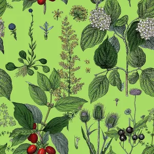 Victorian Botanical, Hand-Colored, Seamless Repeating pattern. Realistic blooming isolated flowers, Vintage fabric background. Beautiful Cottage Garden and wildflowers. Wallpaper baroque. Drawing engraving. Victorian Illustration Victorian Botanical, Hand-Colored, Seamless Repeating pattern. Realistic blooming isolated flowers, Vintage fabric background. Beautiful Cottage Garden and wildflowers. Wallpaper baroque. Drawing engraving. Victorian Illustration