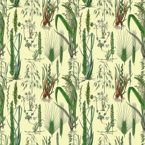 Victorian Botanical, Hand-Colored, Seamless Repeating pattern. Realistic blooming isolated flowers, Vintage fabric background. Beautiful Cottage Garden and wildflowers. Wallpaper baroque. Drawing engraving. Victorian Illustration Victorian Botanical, Hand-Colored, Seamless Repeating pattern. Realistic blooming isolated flowers, Vintage fabric background. Beautiful Cottage Garden and wildflowers. Wallpaper baroque. Drawing engraving. Victorian Illustration