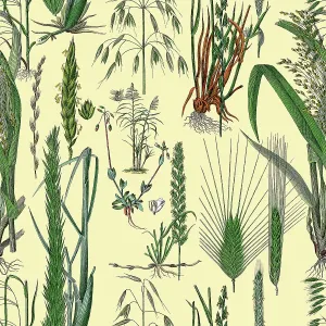 Victorian Botanical, Hand-Colored, Seamless Repeating pattern. Realistic blooming isolated flowers, Vintage fabric background. Beautiful Cottage Garden and wildflowers. Wallpaper baroque. Drawing engraving. Victorian Illustration Victorian Botanical, Hand-Colored, Seamless Repeating pattern. Realistic blooming isolated flowers, Vintage fabric background. Beautiful Cottage Garden and wildflowers. Wallpaper baroque. Drawing engraving. Victorian Illustration