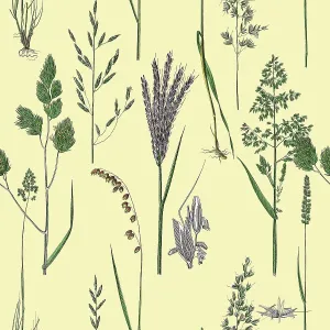 Victorian Botanical, Hand-Colored, Seamless Repeating pattern. Realistic blooming isolated flowers, Vintage fabric background. Beautiful Cottage Garden and wildflowers. Wallpaper baroque. Drawing engraving. Victorian Illustration Victorian Botanical, Hand-Colored, Seamless Repeating pattern. Realistic blooming isolated flowers, Vintage fabric background. Beautiful Cottage Garden and wildflowers. Wallpaper baroque. Drawing engraving. Victorian Illustration