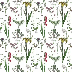 Victorian Botanical, Hand-Colored, Seamless Repeating pattern. Realistic blooming isolated flowers, Vintage fabric background. Beautiful Cottage Garden and wildflowers. Wallpaper baroque. Drawing engraving. Victorian Illustration Victorian Botanical, Hand-Colored, Seamless Repeating pattern. Realistic blooming isolated flowers, Vintage fabric background. Beautiful Cottage Garden and wildflowers. Wallpaper baroque. Drawing engraving. Victorian Illustration