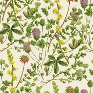 Victorian Botanical, Hand-Colored, Seamless Repeating pattern. Realistic blooming isolated flowers, Vintage fabric background. Beautiful Cottage Garden and wildflowers. Wallpaper baroque. Drawing engraving. Victorian Illustration Victorian Botanical, Hand-Colored, Seamless Repeating pattern. Realistic blooming isolated flowers, Vintage fabric background. Beautiful Cottage Garden and wildflowers. Wallpaper baroque. Drawing engraving. Victorian Illustration