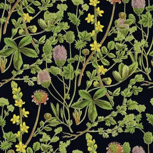 Victorian Botanical, Hand-Colored, Seamless Repeating pattern. Realistic blooming isolated flowers, Vintage fabric background. Beautiful Cottage Garden and wildflowers. Wallpaper baroque. Drawing engraving. Victorian Illustration Victorian Botanical, Hand-Colored, Seamless Repeating pattern. Realistic blooming isolated flowers, Vintage fabric background. Beautiful Cottage Garden and wildflowers. Wallpaper baroque. Drawing engraving. Victorian Illustration