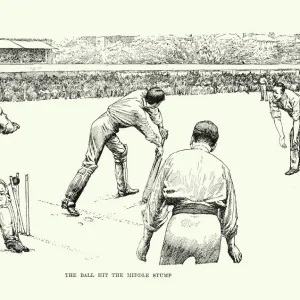 Victorian Cricket Match, 19th Century