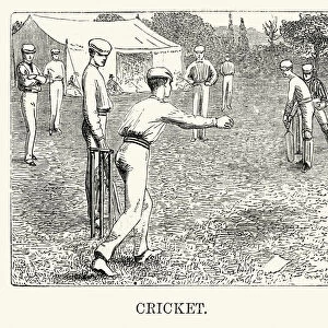 Victorian cricket match illustration, 19th Century