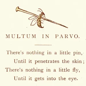 Victorian Satirical Print: Much in Little Victorian Satirical Print: Much in Little