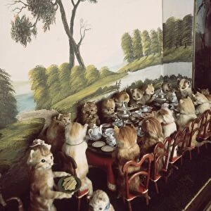 Victorian stuffed animals at Potters Museum of Curiosity in Bolventor, Cornwall