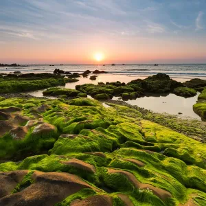 Vietnam beach, Moss, Rock, Sunrise Vietnam beach, Moss, Rock, Sunrise