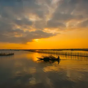 Vietnam - Fisherman go fishing on boat near net system on Tam Giang lagoon, Hue, Thua Thien Hue Vietnam - Fisherman go fishing on boat near net system on Tam Giang lagoon, Hue, Thua Thien Hue