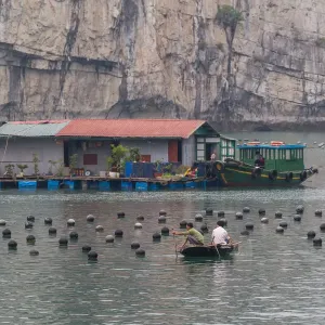 Vietnam Pearl Farm Vietnam Pearl Farm