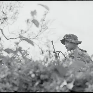 Images Dated 1971 November: 29 Nov 1971