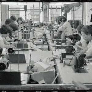 Images Dated 1981 September: 6 Sep 1981