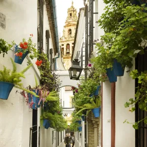 View of the Bell Tower, Cordoba, Spain View of the Bell Tower, Cordoba, Spain