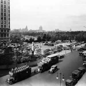 View Of Central Park View Of Central Park