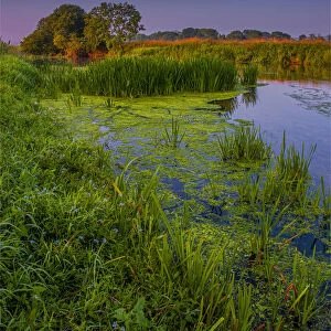 View of the Frome River near Wareham Dorset, England