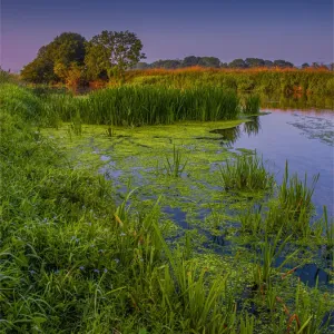 View of the Frome River near Wareham Dorset, England