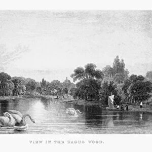 View in the Hague Wood Park in Rotterdam, Netherlands, Circa 1887